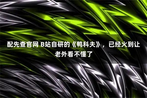 配先查官网 B站自研的《鸭科夫》，已经火到让老外看不懂了